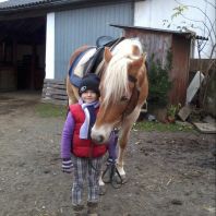 2012-11-21-15.03.34.jpg